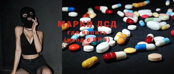 кокс Гатчина