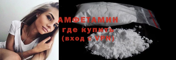 прущие грибы Абинск