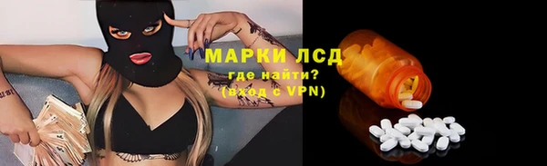 прущие грибы Абинск