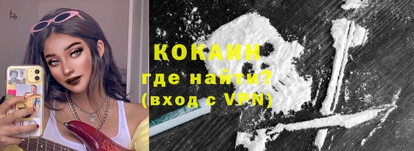 прущие грибы Абинск