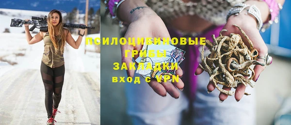прущие грибы Абинск