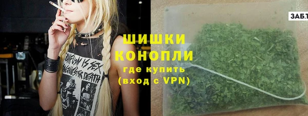 прущие грибы Абинск