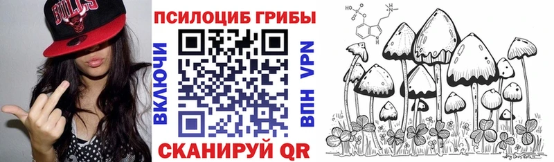 Псилоцибиновые грибы Magic Shrooms  Усть-Кут 