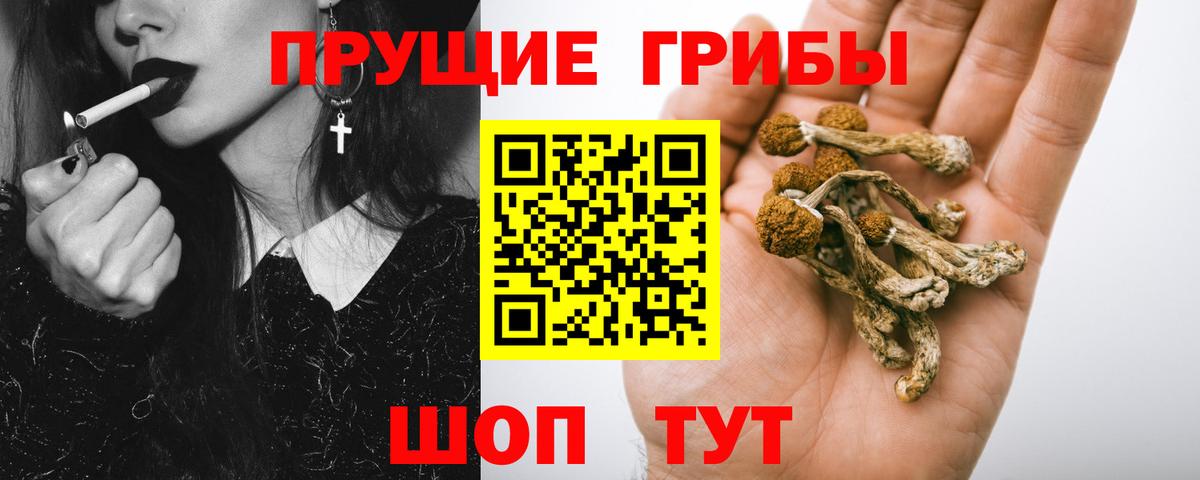 Усть-Кут  Псилоцибиновые грибы GOLDEN TEACHER  Вход с VPN 